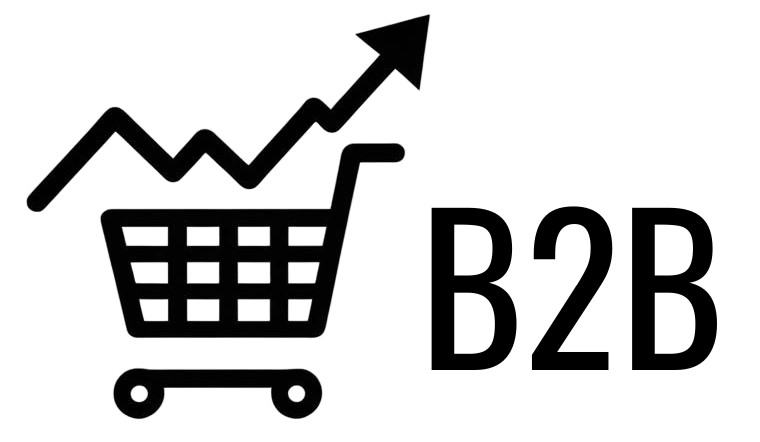 Sviluppo E-commerce B2B